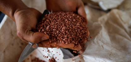 Cresce a procura por bioinsumos para driblar a alta de preços dos fertilizantes