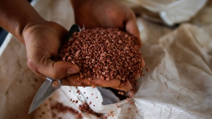 Cresce a procura por bioinsumos para driblar a alta de preços dos fertilizantes