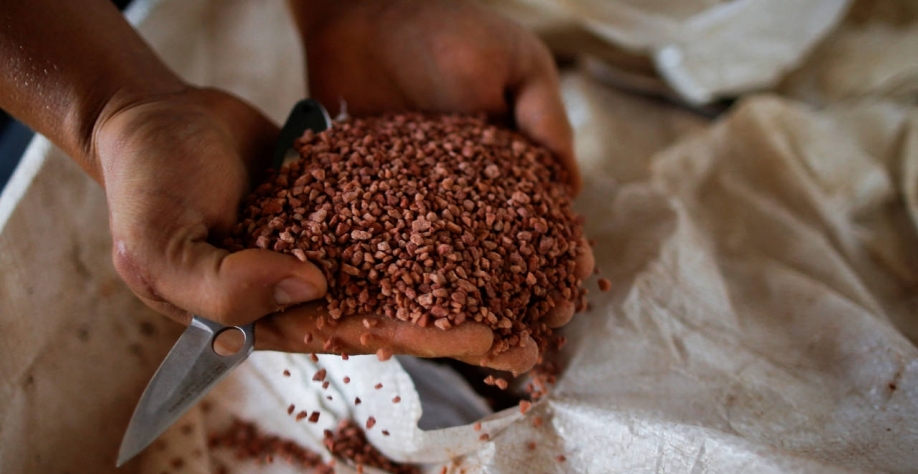 (Imagem: REUTERS/Adriano Machado)