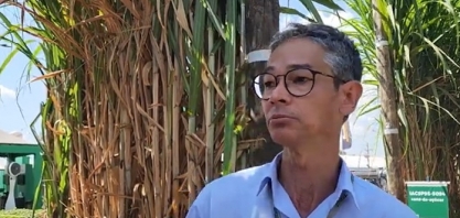 IAC desenvolve variedades de cana para a produção de cachaça, garapa, rapadura, melado, açúcar mascavo e alimento animal
