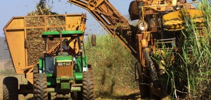 Sindaçúcar-AL aposta em safra de crescimento em 22/23