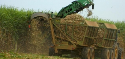VBP de 2022 é estimado em R$ 1,236 trilhão