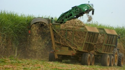 VBP de 2022 é estimado em R$ 1,236 trilhão