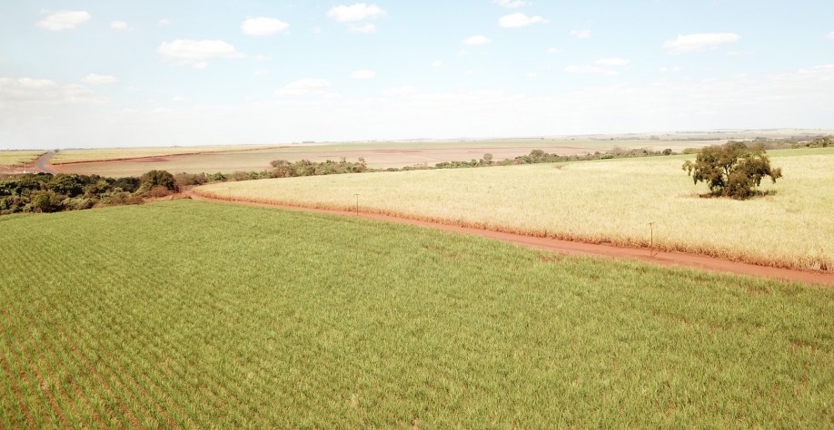 Na hora de fechar negócio, interesse e necessidade dos clientes se dividem quase que igualmente entre as duas principais vertentes da irrigação por gotejamento subterrâneo: aplicação de recursos hídricos e nutrientes. Foto: Divulgação Netafim