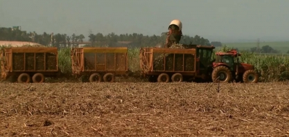 Por que o etanol continua caro mesmo após início da safra? Especialistas explicam