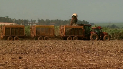 Por que o etanol continua caro mesmo após início da safra? Especialistas explicam