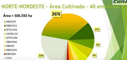 Censo Varietal do IAC da região Nordeste aponta alta concentração da variedade RB92759 e baixa renovação no plantel varietal