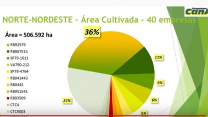 Censo Varietal do IAC da região Nordeste aponta alta concentração da variedade RB92759 e baixa renovação no plantel varietal