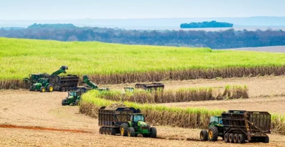 Lavoura de cana em unidade produtora. (Foto: Divulgação/Unica) 