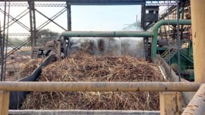 Consecana-AL/SE: ATR tem alta de 6,9% em abril