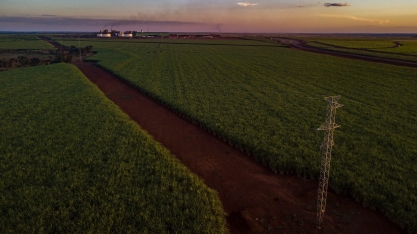 BP Bunge Bioenergia adere ao Pacto Global da ONU