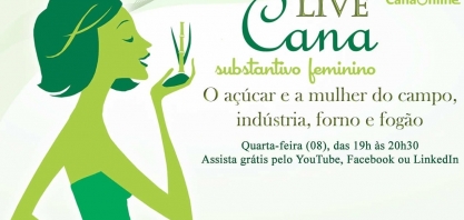 O açúcar e a mulher do campo, indústria, forno e fogão