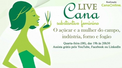 O açúcar e a mulher do campo, indústria, forno e fogão