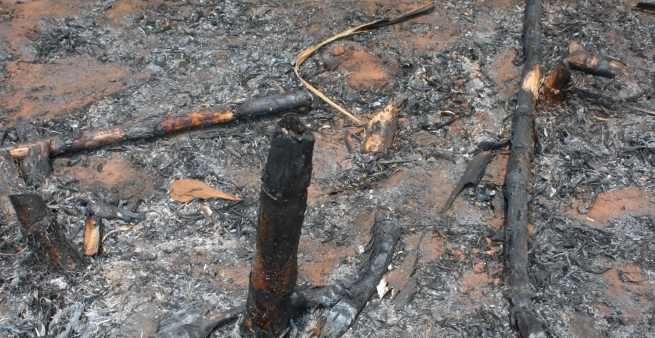 Embora expressiva, área da Raízen atingida por incêndios em 2021/22 foi 15% menor do que o registrado na safra anterior, fruto da ampliação das ações de prevenção adotadas e reforçadas pela companhia nos últimos anos