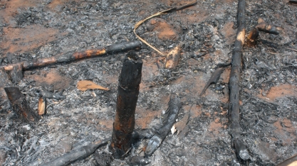 2,7 milhões de toneladas de cana da Raízen foram atingidas por incêndios na safra 2021/22