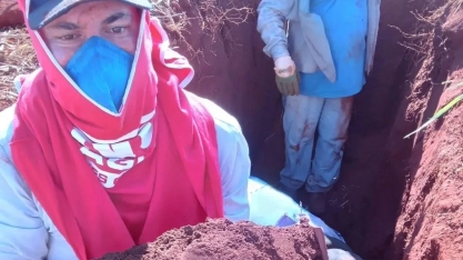 Agroquatro-S realiza avaliação sobre o desenvolvimento radicular e distribuição de raízes no perfil do solo em cana soca de 2º corte