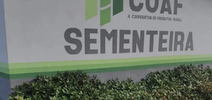 Coaf começa distribuição de mudas para reflorestamento em Timbaúba