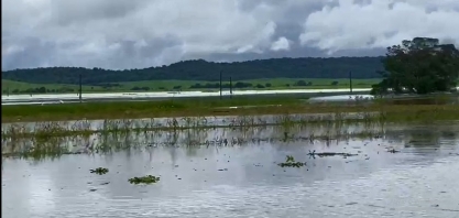Estima-se perda de 40 mil toneladas de cana em Alagoas devido às chuvas