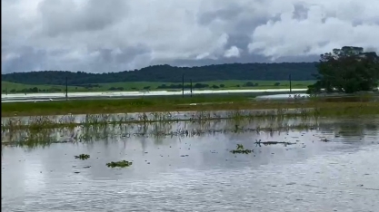 Estima-se perda de 40 mil toneladas de cana em Alagoas devido às chuvas