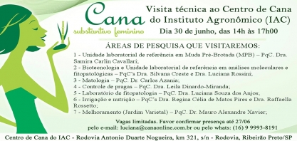 Profissionais da Cocal participarão da visita técnica ao Centro de Cana do IAC, em Ribeirão Preto, SP