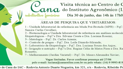 Profissionais da Cocal participarão da visita técnica ao Centro de Cana do IAC, em Ribeirão Preto, SP