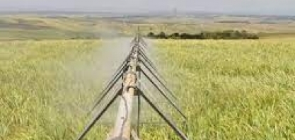 Canavicultura e outras culturas formalizam união em defesa do desenvolvimento da irrigação