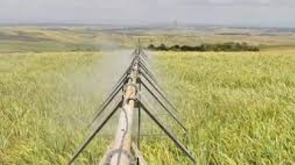 Canavicultura e outras culturas formalizam união em defesa do desenvolvimento da irrigação