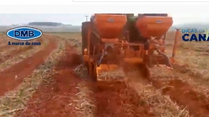 Incorporação da palha evita a propagação do fogo em áreas de cana