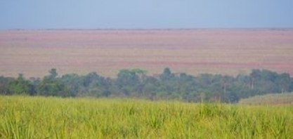 Atvos reforça atuação contra incêndios com estrutura de combate e conscientização da população