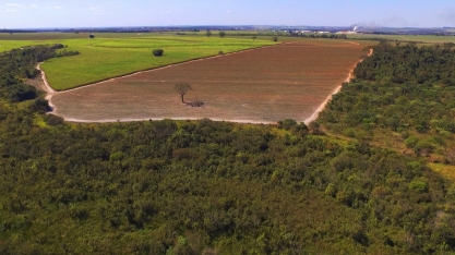 Protocolo Agroambiental “Etanol Verde” completa 15 anos