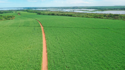 Reforma do canavial assegura produtividade da Diana Bioenergia na safra 2021/22