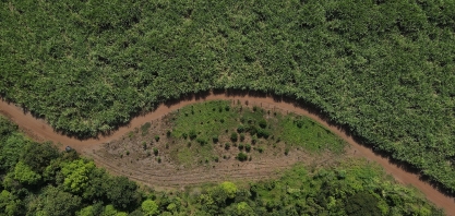 Programa Verdear celebra o Dia Mundial do Meio Ambiente com ações de restauração florestal no bioma Mata Atlântica da Fazenda Engenho Central