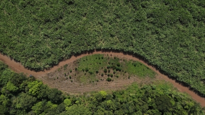 Programa Verdear celebra o Dia Mundial do Meio Ambiente com ações de restauração florestal no bioma Mata Atlântica da Fazenda Engenho Central