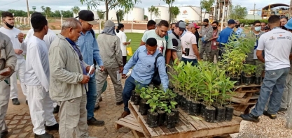 Agrovale comemora XIII Semana do Meio Ambiente com ações em Juazeiro e Petrolina 