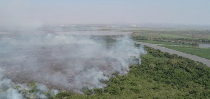 Com clima cada vez mais seco, governo do MS proíbe queimadas controladas