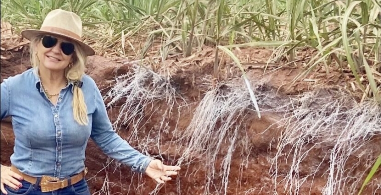 “Aprimorar o uso dos solos é uma responsabilidade ambiental agronômica”, salienta Inês Janegtis