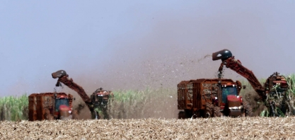 Se agosto entrar seco como agora, Nova York vai começar a olhar a cana 23/24 e subir o açúcar