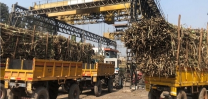 Índia conta com clima favorável e tecnologia do Brasil para atingir E20 até 2025