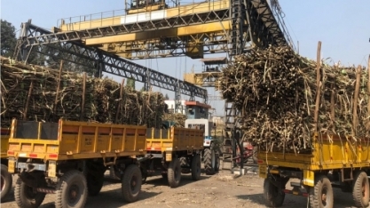 Índia conta com clima favorável e tecnologia do Brasil para atingir E20 até 2025