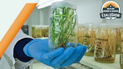 Políticas Públicas no Setor Sucroenergético abrirá painéis de discussão da 4ª edição do Esalqshow