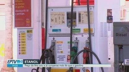 Litro do etanol cai e passa a compensar mais do que gasolina em Ribeirão Preto, SP