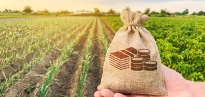 Febraban pede mudanças no crédito rural