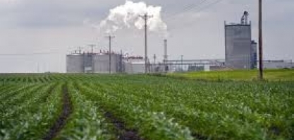 Milho/|USDA: uso para etanol nos vEUA diminui 9% em abril, para 10,54 milhões de toneladas