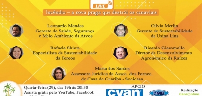 Em 2021, incêndios atingiram canaviais e até viveiros de mudas de cana