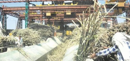 Produção de açúcar da Índia pode atingir recorde em 2021/22, diz associação