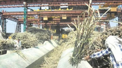 Produção de açúcar da Índia pode atingir recorde em 2021/22, diz associação