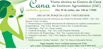 Profissionais do Grupo Moreno participam, nesta quinta, da visita técnica ao Centro de Cana do IAC, em Ribeirão Preto, SP
