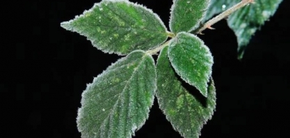 Inverno vem aí: confira a previsão do tempo para a nova estação