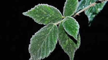 Inverno vem aí: confira a previsão do tempo para a nova estação