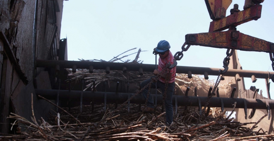 O mix de produção foi similar ao da safra anterior, com 53,2% da matéria-prima destinada à fabricação de etanol e 46,8% para o açúcar (Imagem: REUTERS/Juan Carlos Ulate)